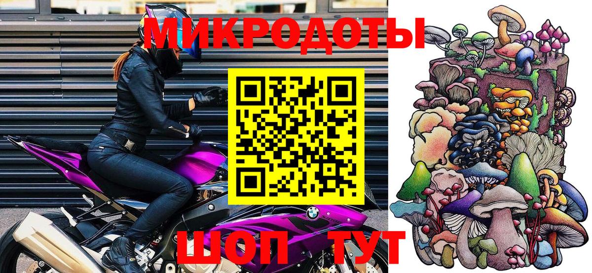 Калуга  Псилоцибиновые грибы Psilocybe  Вход с VPN 